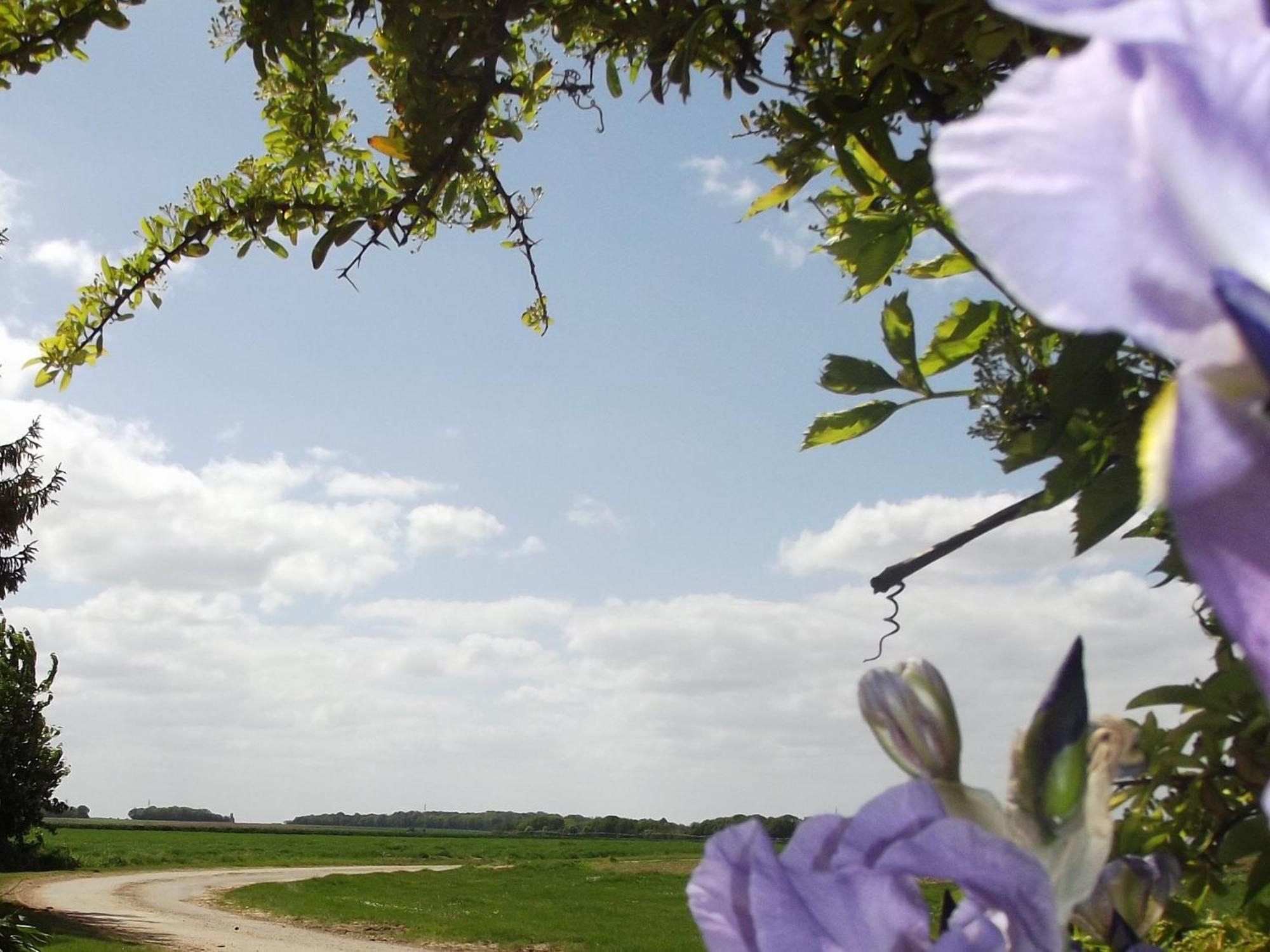 Audeville Charmante Maison De Campagne Avec Jardin Prive, Pres De Paris Et Orleans, Ideale Pour Familles - Fr-1-590-136 מראה חיצוני תמונה