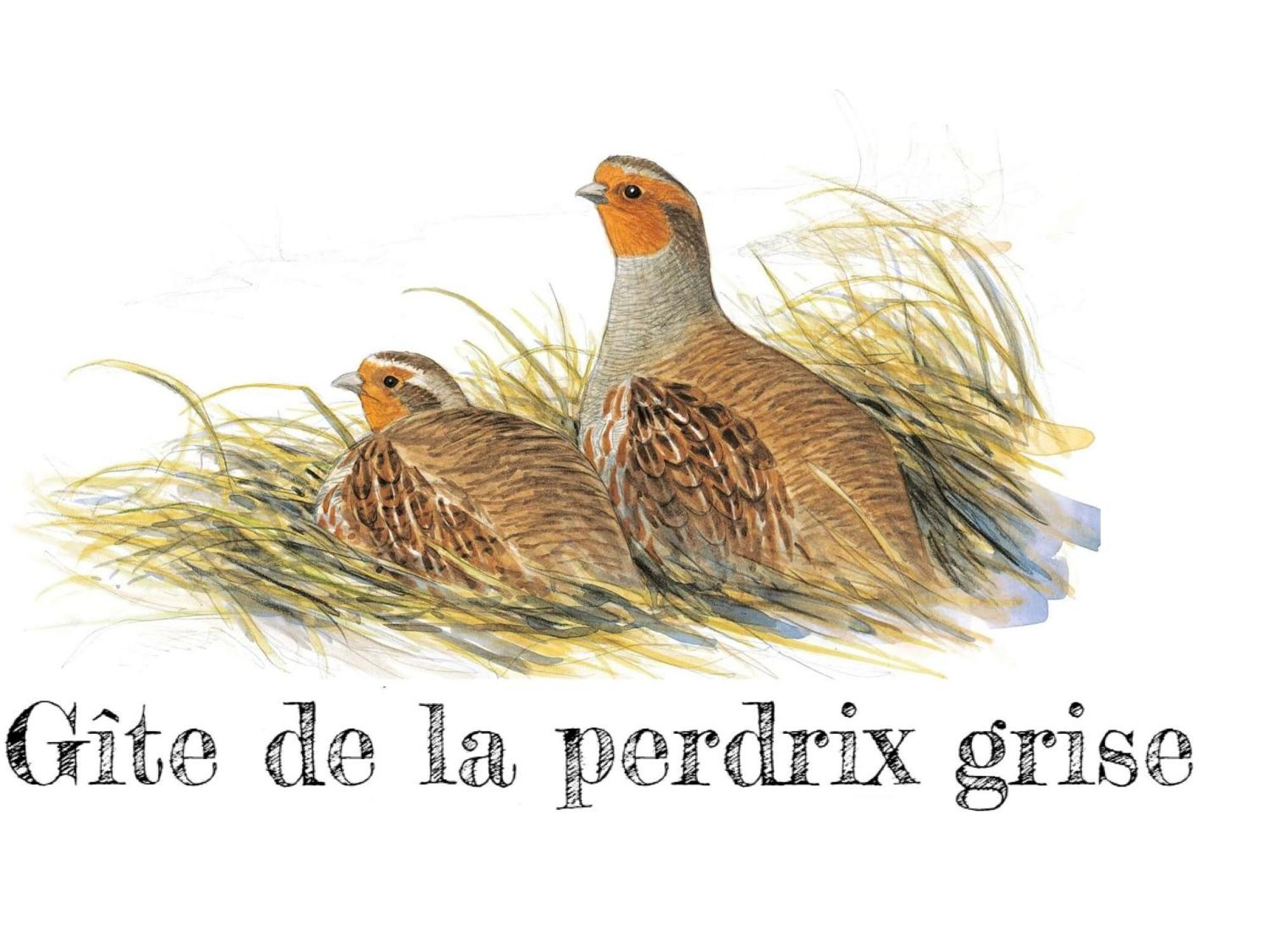Audeville Charmante Maison De Campagne Avec Jardin Prive, Pres De Paris Et Orleans, Ideale Pour Familles - Fr-1-590-136 מראה חיצוני תמונה
